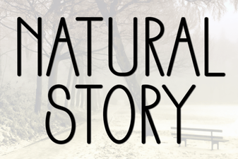 Natural Story Font: Elegant Typography for Creative Projects